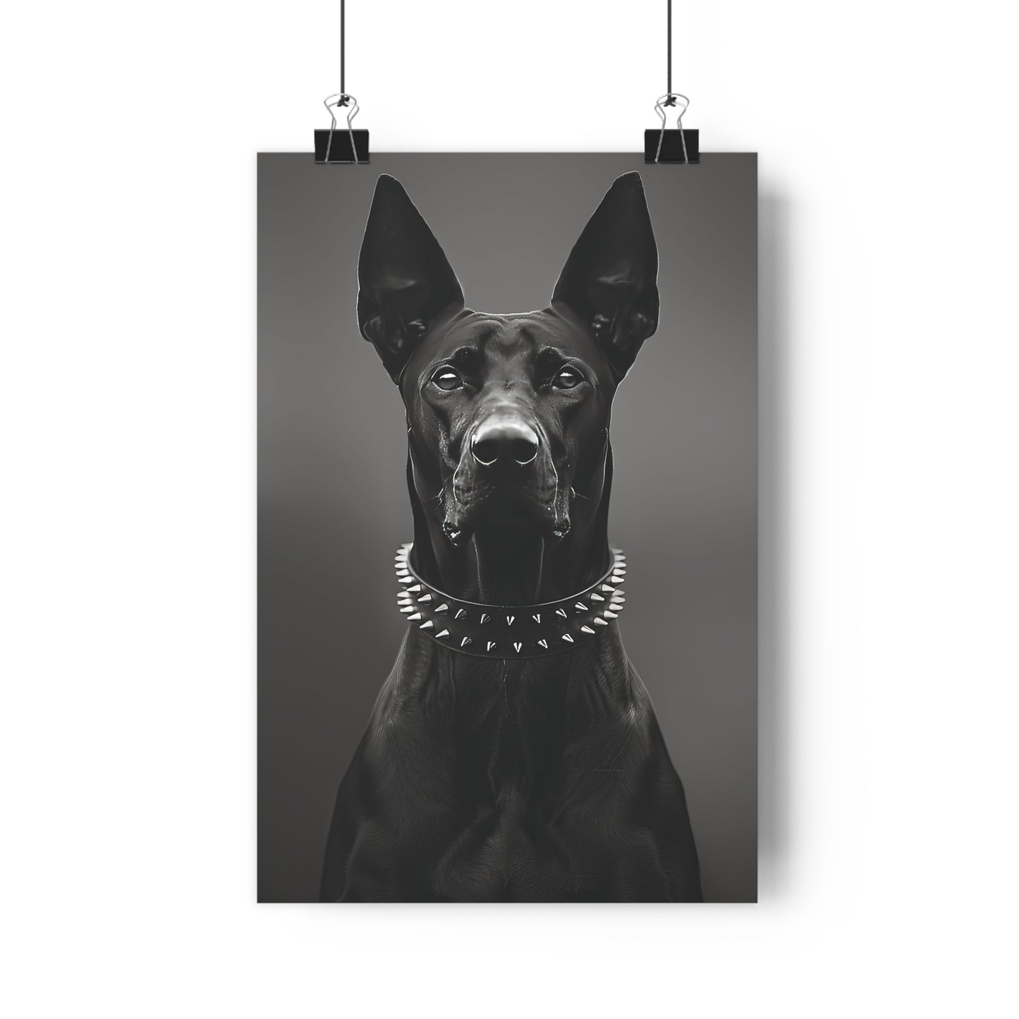 Doberman