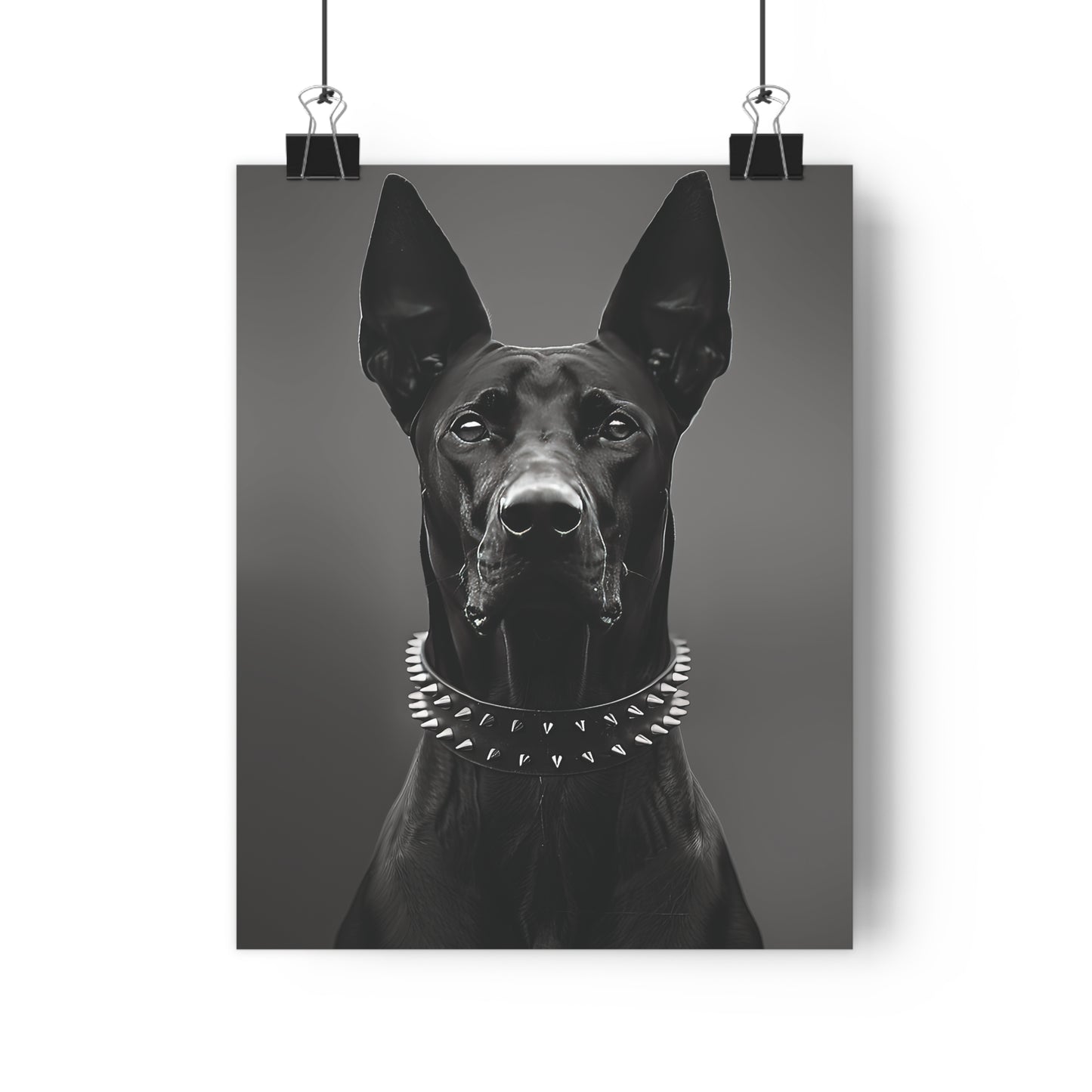 Doberman